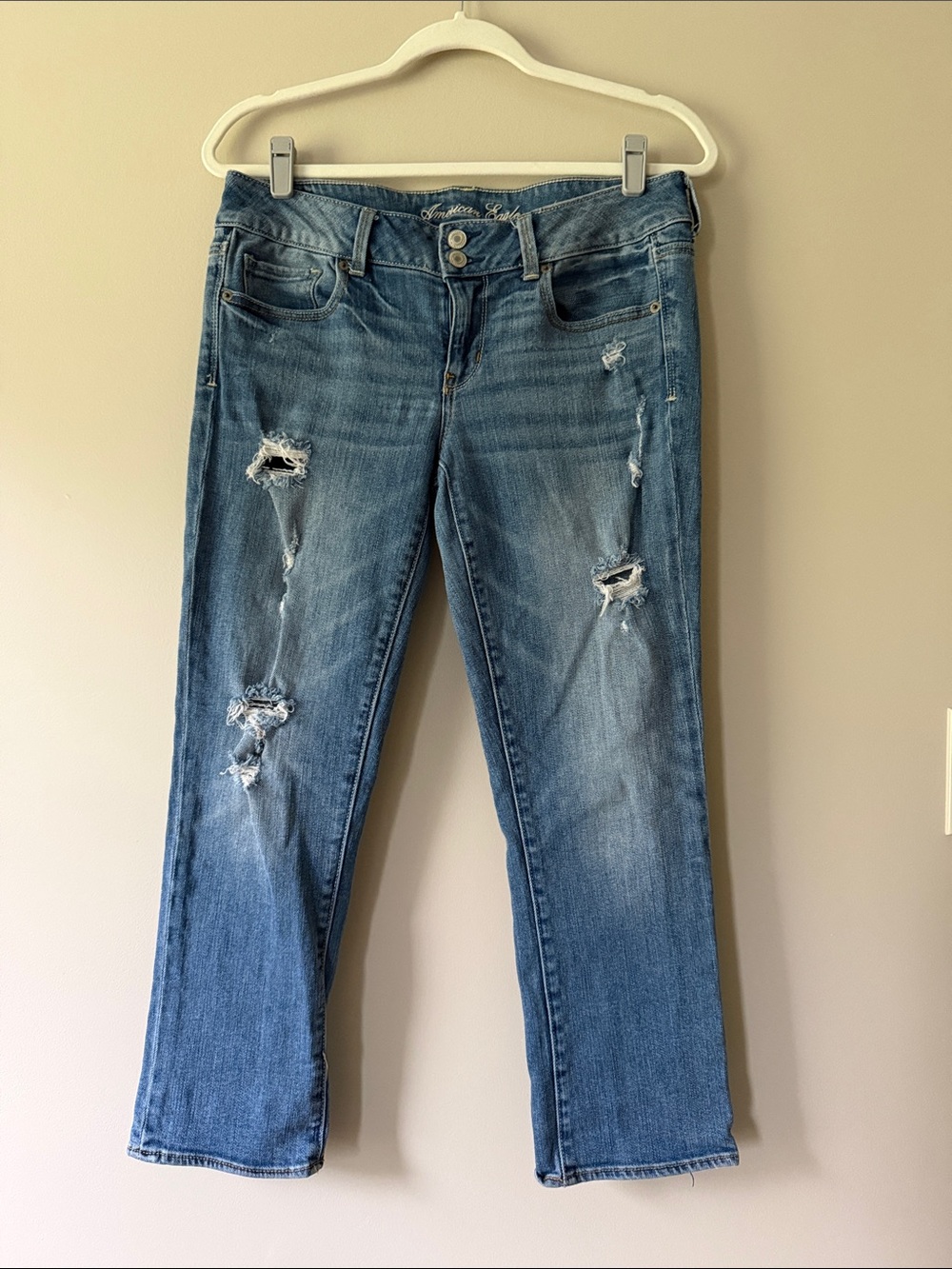 American Eagle Outfitters Artist Cropped Jeans